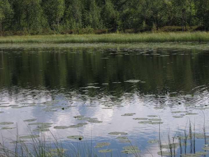 Lahteen laskee ojia eteläpuolen peltoalueilta sekä lahtea ympäröiviltä soilta. Nälkölahden pohjoisranta on osa laajaa ojitettua suoaluetta ja Talvilahden kaakkoisranta rajautuu ojitettuun rämeeseen.