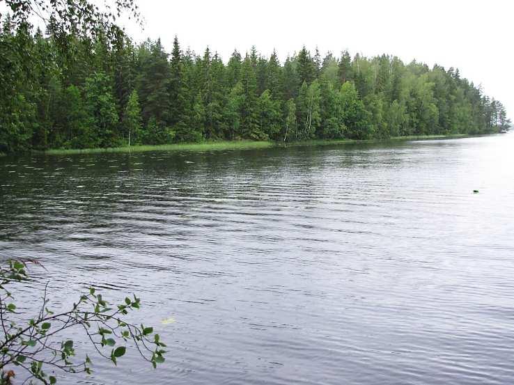 38 merkittävä ja tulisi jättää nykytilaansa. 19.6. Puurtisenlahti Puurtisenlahti on itälahtea kapeampi ja suljetumpi kuin Itälahti.