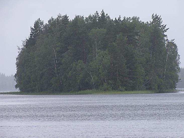 Pienialainen, pitkä ja kapea Hirvosensaari lounaisrannan edustalla on maisemallisesti merkittävä harjusaari, joka kohoaa vain vähän vedenpinnan tason yläpuolelle (Kuva 71.).