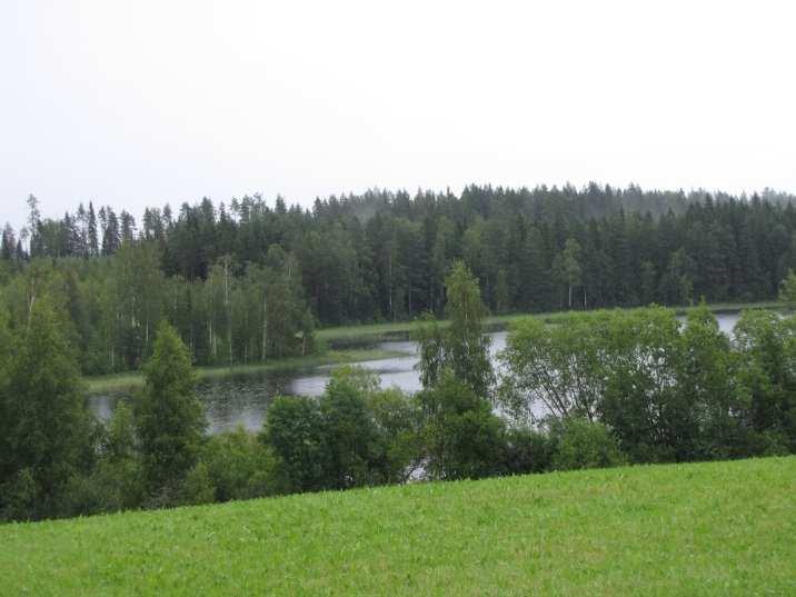 Alueen kasvi- ja lintulajisto todettiin tavanomaiseksi eikä alueella todettu merkkejä liito-oravan oleskelusta tai