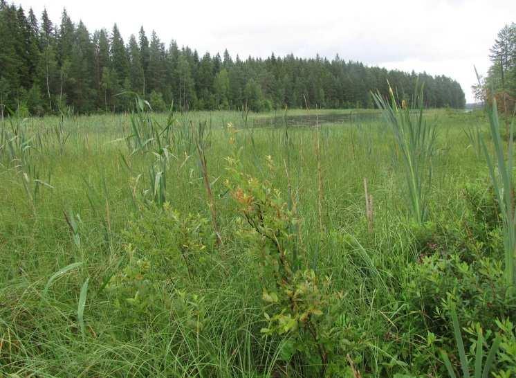 tai muita luonnonarvoja, jotka olisi erityisesti huomioitava maankäytön suunnittelussa. Kuva 84.