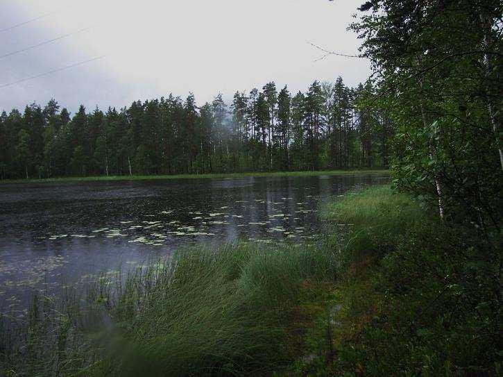 Suuri-Majoosta on vedetty oja Pieni- Majooseen. Suuri-Majoota kiertää yhtenäinen jouhisaravyöhyke (Kuvat 99. ja 100.