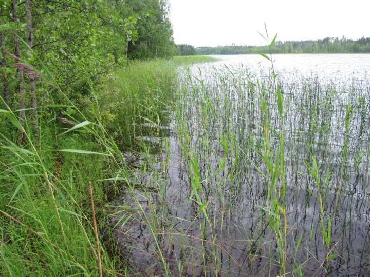 56 merkittäviä luontokohteita tai muita