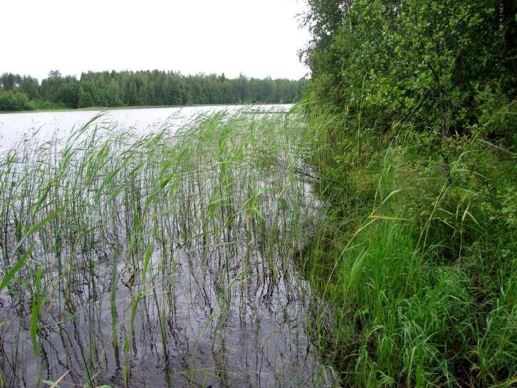 huomioitava maankäytön suunnittelussa.