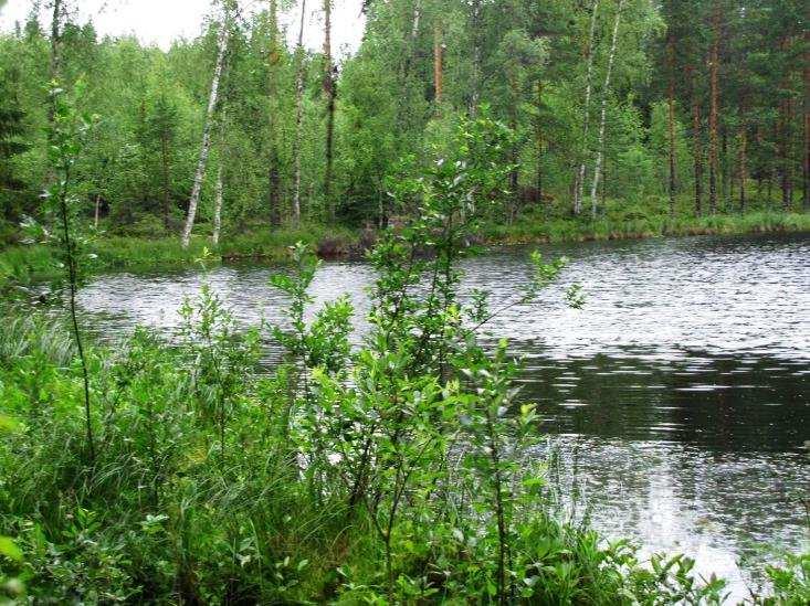 merkittäviä luontokohteita tai muita luonnonarvoja, jotka olisi erityisesti huomioitava maankäytön suunnittelussa. 38. Kakslammit (LIITTEET, Kartta 5.