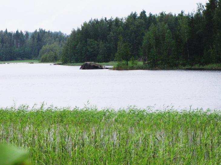 65 Tiaisenniemen rantaviiva muodostuu lukuisista pienistä kallioniemistä ja niiden välisistä ruo ikkoisista lahdista (Kuva 122.).