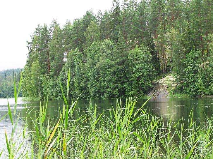 jotka olisi erityisesti huomioitava maankäytön suunnittelussa. Mustalahden itärannalla todettiin maisemallisesti merkittävä rantakallio, joka tulisi jättää nykytilaansa. 47.2.