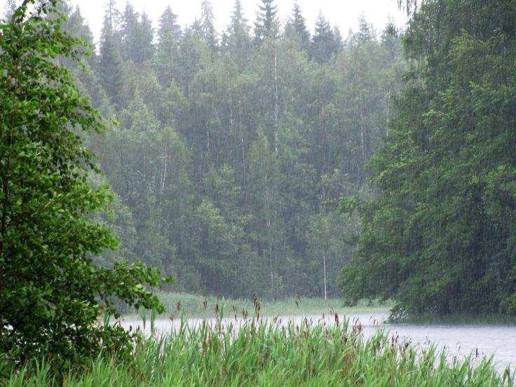 74 Itälahden pohjoisrannan metsät todettiin pääosin hakatuiksi. Pohjoisrannan kallioalue on jätetty avohakkuiden ulkopuolelle.