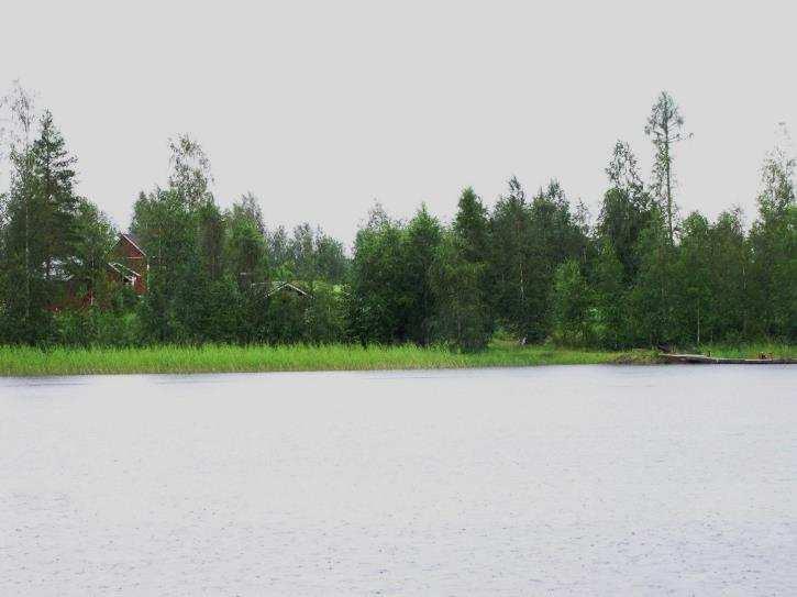 Rantavyöhykkeessä oli todettavissa runsassti järviruokoa. Pohjoisosa rannasta on kalliorantaa.