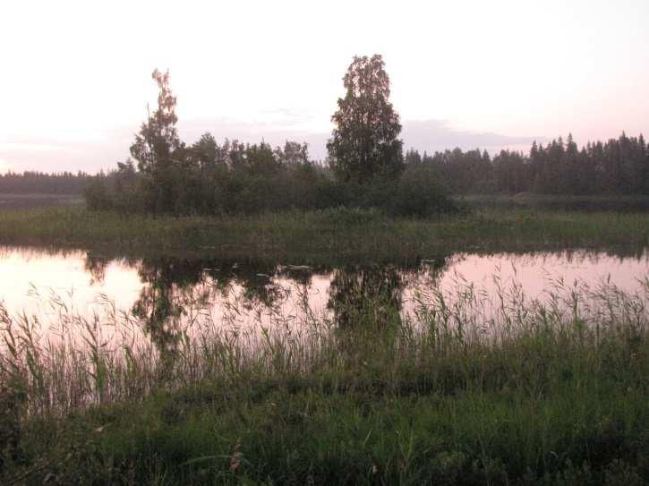 Alueella ei todettu merkkejä liito-oravan oleskelusta tai liito-oravalle soveliasta elinympäristöä Suositus.