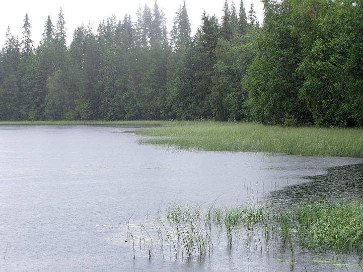 Taustan metsät on hakattu. Kuva 155.