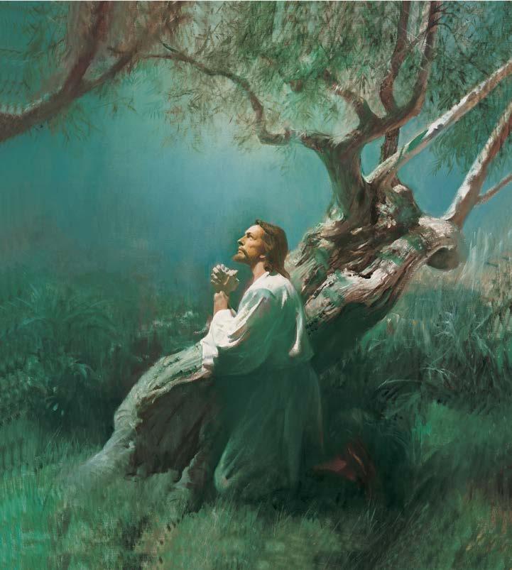 ) Johannes Kastaja kastaa Jeesuksen (Matt. 3:13 17).