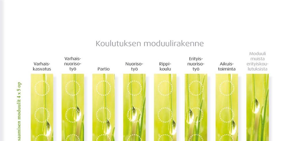 Koulutuskuvaus 2016-2017 2 (16) Todistus Saat todistuksen kustakin moduulista sen järjestäjältä.