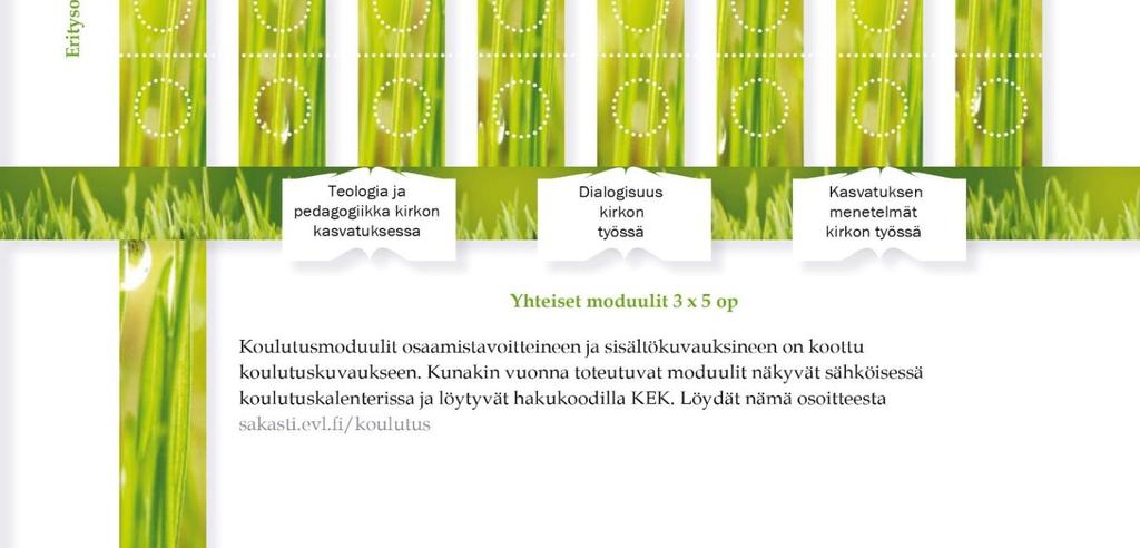 suorittanut kaikki 7 moduulia.