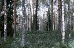 , Muhos Lähde: Erkki