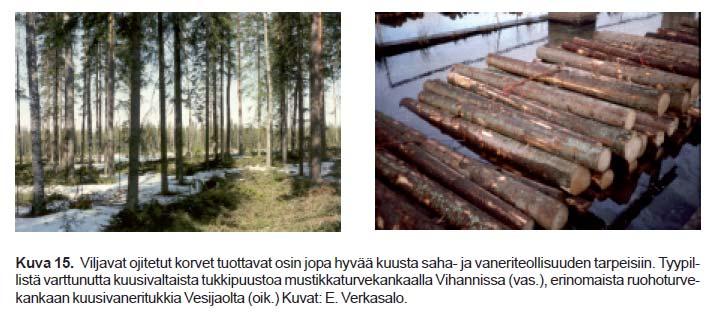 tuotoskoe,, Mtkg, ikä