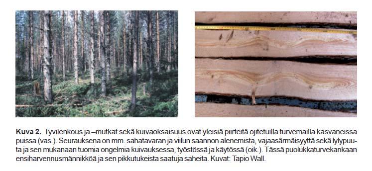 Esimerkkejä 2.
