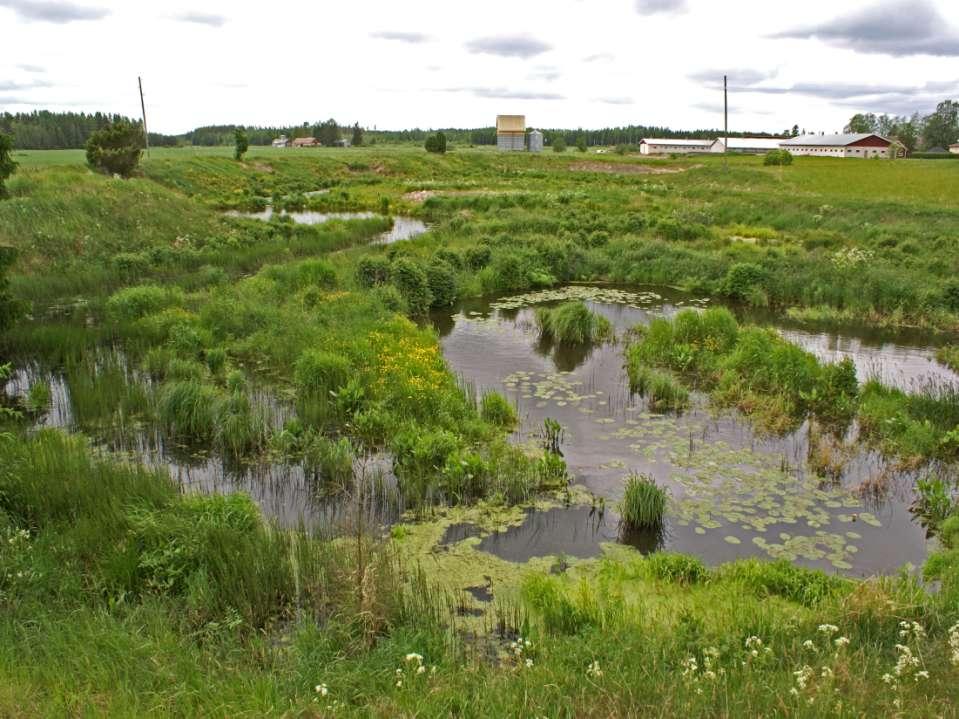 Kosteikot ja altaat n Flow rate Kiintoaine, vähenemä Fosfori, vähenemä Typpi, vähenemä L s -1 g d -1 % g d -1 % g d -1 % Vehmasojan suodatinkenttä 90 0,15 460 67 1 67 3 16 Lime filter field (burnt