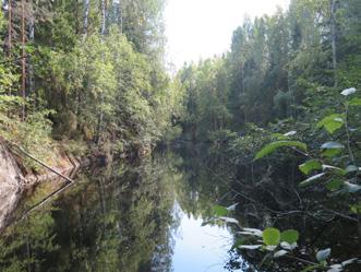 Mustavaara quarry in 2018. Photo: Heikki Pirinen. Kuva 4. Mustavaaran louhimo vuonna 2018. Kuva: Heikki Pirinen. porphyroblastic structures. (See Pirinen et al. 2018, Figs 2 and 3).