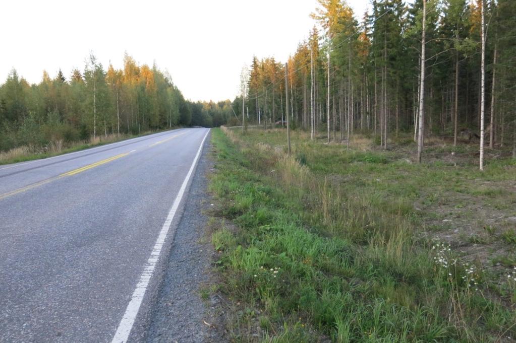 Kaavahanketta varten on laadittu luonto- ja maisemaselvitys, joka on kaavan oheismateriaalina (Torpin yritysalueen asemakaavoitus, Luonto- ja maisemaselvitys, Karttaako Oy/Mikko Siitonen, 2014).