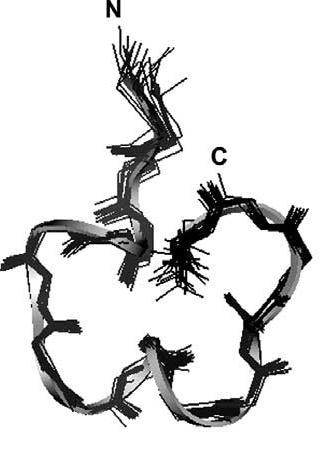 27 5.1.2 α-konotoksiini PIA Peptidirakenteinen α-konotoksiini PIA on alun perin eristetty merietanasta nimeltä Conus purpurascens (Chi ym. 2005).