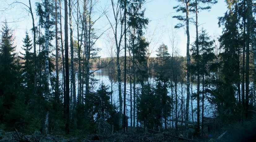Ranta-alueet ovat molemmin puolin järveä metsäiset.