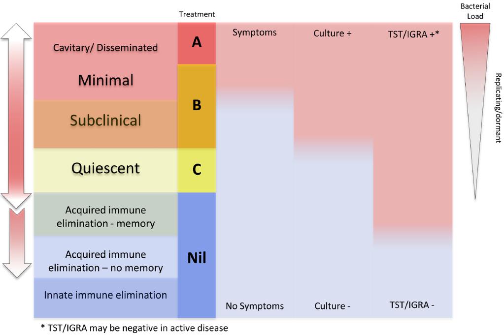 Tuberkuloosi-infektio on jatkumo =LTBI Drug Discov