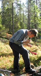 Verkottuminen Kauhanen, H. Haastattelu metsäpaloista. Pohjolan Sanomat 17.7.2006. Hanke 3303. Kauhanen, H. Metsäpalot ja palotutkimukset Kotimaan kasvot -ohjelmassa TV 2:lla 16.10.