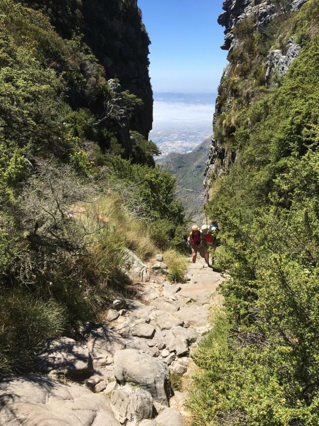 käydä vierailulla Kirstenboschin kasvitieteellisessä puutarhassa, joka on yksi maailman upeimmista puutarhoista.