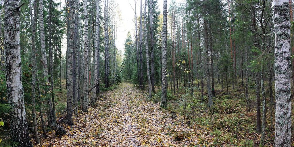 Levennyksen pohjoispuolella turveradan linjaus on pengerrysten ansiosta vielä