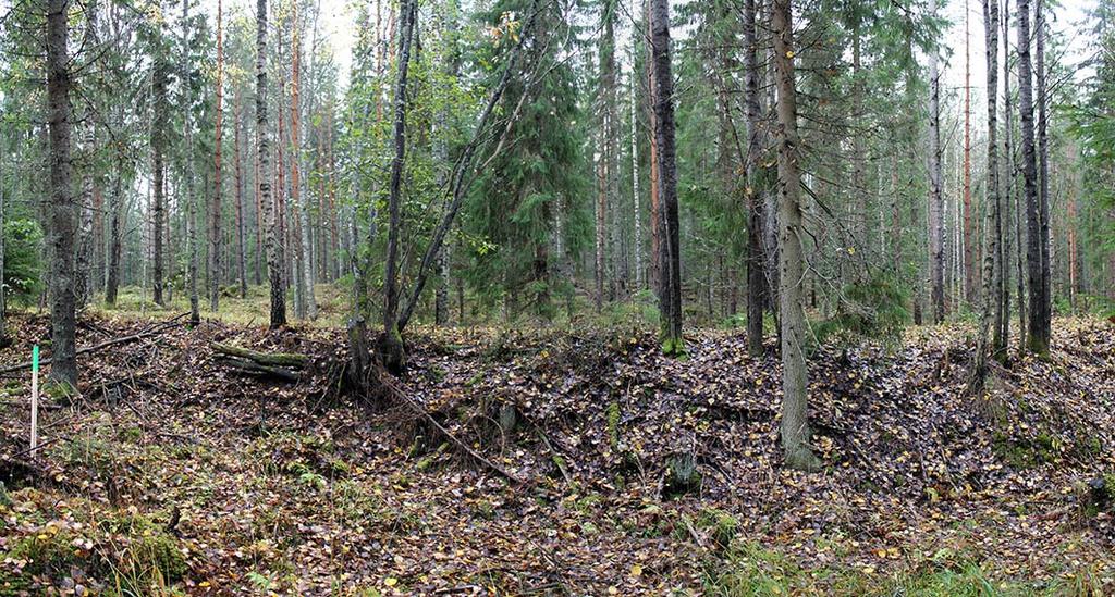 19 Kuljettaessa Ojalankyläntien päästä kohti kuvan keskivaiheilla näkyvää kokoojakadun ja turveradan leikkauskohtaa ratalinjaus erottuu selkeästi puiden rajaamana.