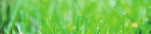 FATA GÖDELMEDEL Easygreen Mini 12 12-5,2-14,1 + 1,2 + 8 Erinomainen kevät- ja kesälannoite.uuri -pitoisuus paremman tehon saamiseksi keväällä.