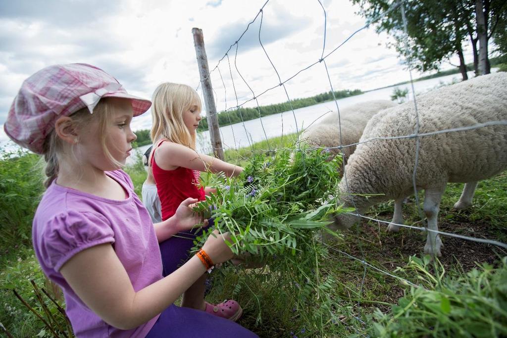 Maatalouden yrittäjätulo lasketaan vähentämällä maataloudesta saatavista tuotoista maatalouteen kohdistuvat muuttuvat ja kiinteät