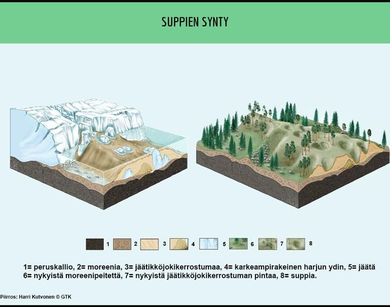 3.3 Suppa ja suppamaasto Jäätiköstä irtoaa jäälohkareita, jotka hautautuvat edustalla olevaan sedimenttiin, joko kokonaan tai osittain. Sulaessaan ne muodostavat suppakuopan.