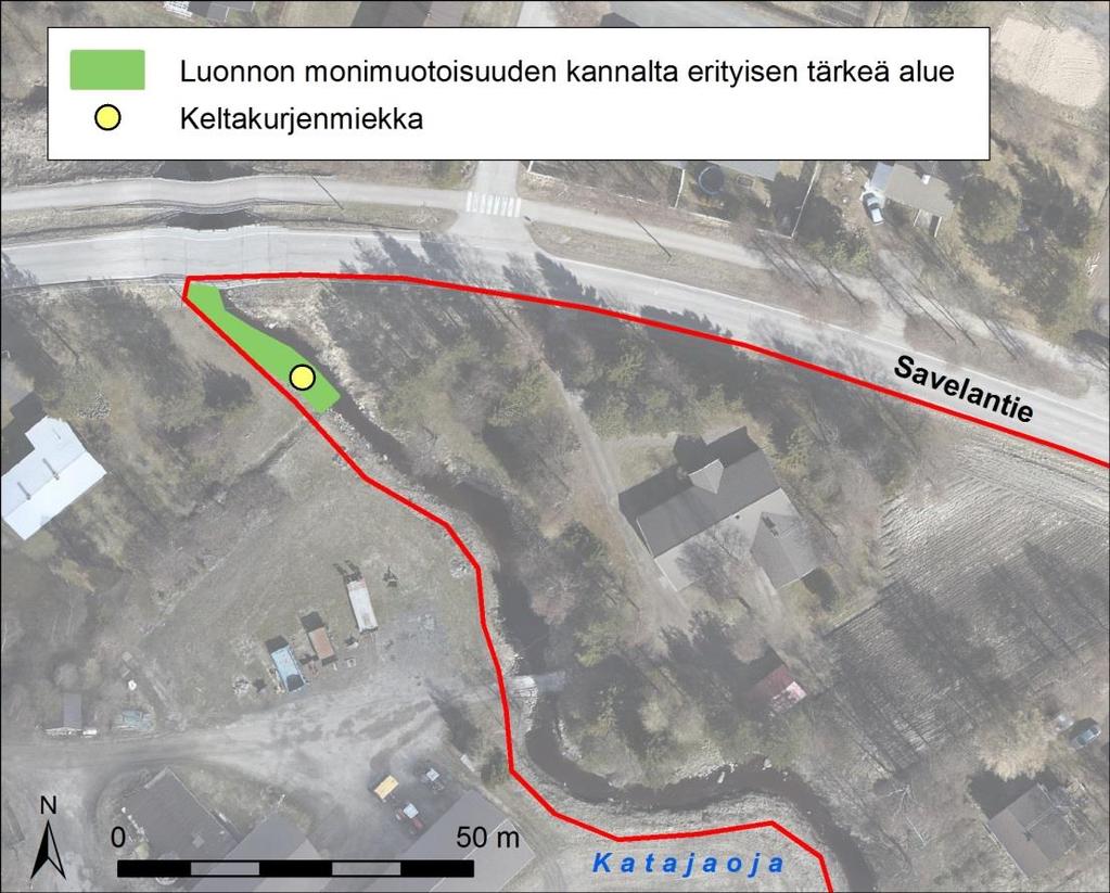 5 Hoitamattomat alueet ovat tienpientareita ja ojanvarsia sekä vanhoja peltoja, jotka ovat lehtipuuston kuten pajujen, koivujen, harmaaleppien ja pihlajien valtaamia.