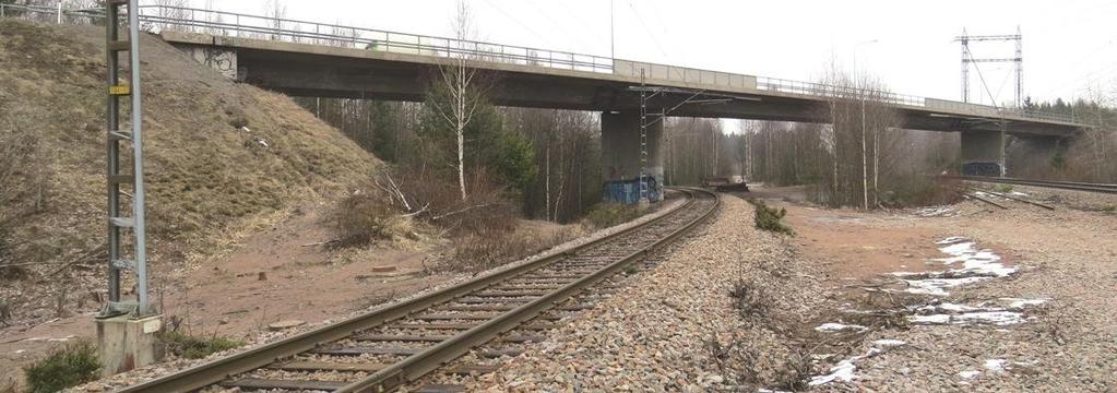 Lisääntymispaikaksi tulkittu vanha oravan risupesä sijaitsee noin 70 metrin päässä valtatielinjasta. Alueelta on puustoinen kulkuyhteys Savonsuolle sekä valtatien yli Hinkissuolle.