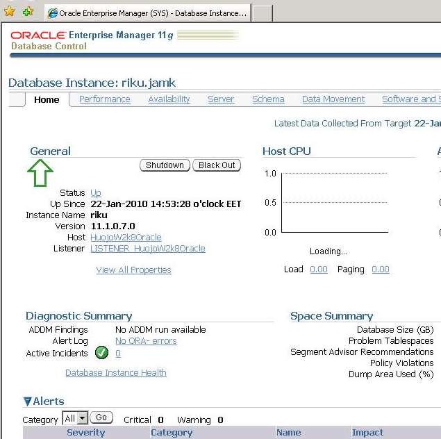 Enterprise Manager Selainkäyttöinen hallintasovellus Käytännössä lähes kaikki tietokannan