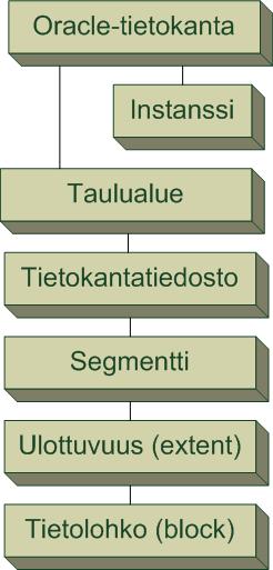 Oracle-tietokannan rakenne Yksi Oracle-sovellus voi sisältää useita tietokantainstansseja Tietokantainstansseja voidaan hallita itsenäisesti Yksi tietokantainstanssi voi pitää sisällään useita