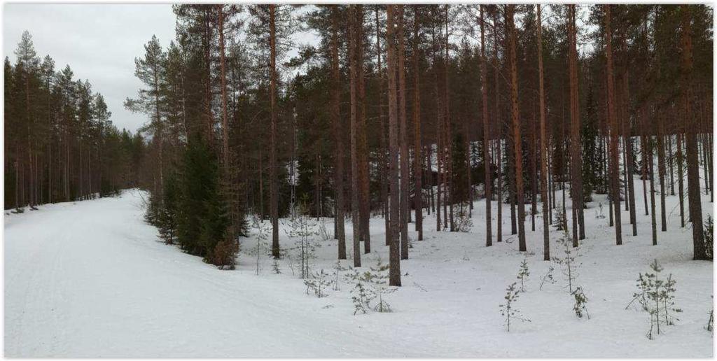 Suunniteltu ottoalue etelään päin katsottuna huhtikuussa 2018: 3.