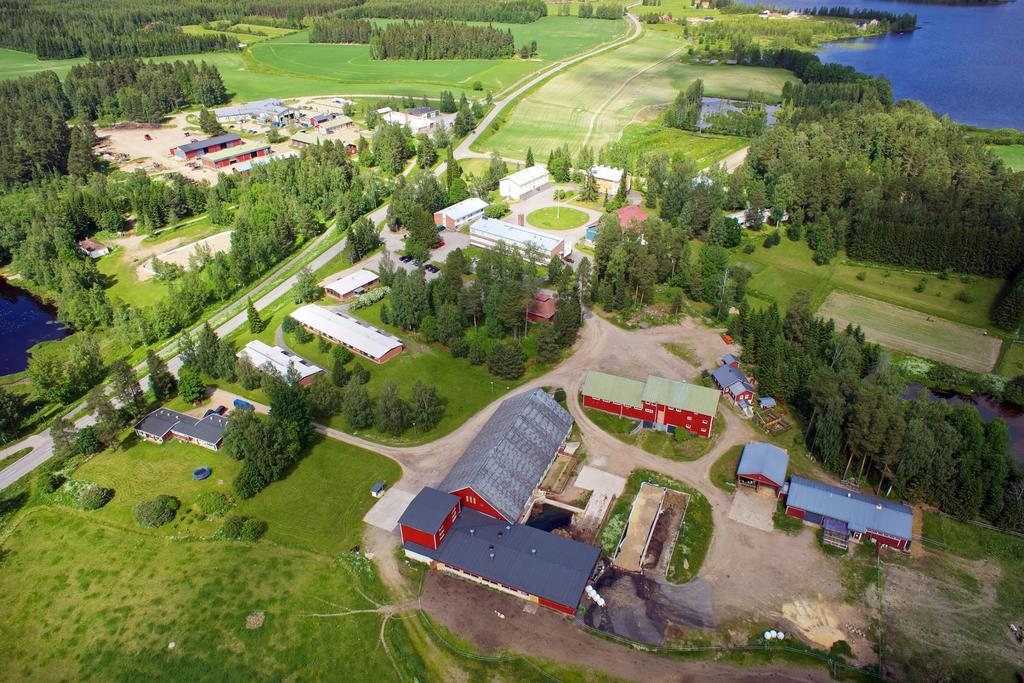Pilkeyrityksen liiketoiminnan