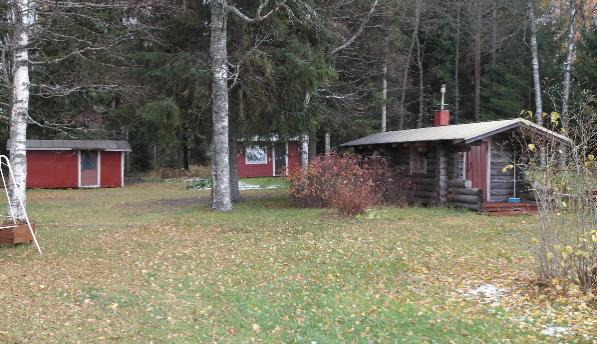 Pihapiirin ulkopuolella puuston suojassa on työkaluvaja 1990-luvun lopulta.