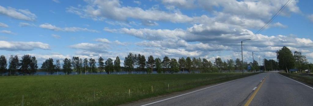 Pyhännänjärven rannat ovat metsäiset. Peltoa järven rannassa on Leiviskänniemessä (kuva 9). Asutusta järven rannalla on Kirjavaniemessä ja Kirkkoniemen pohjoisrannalla.