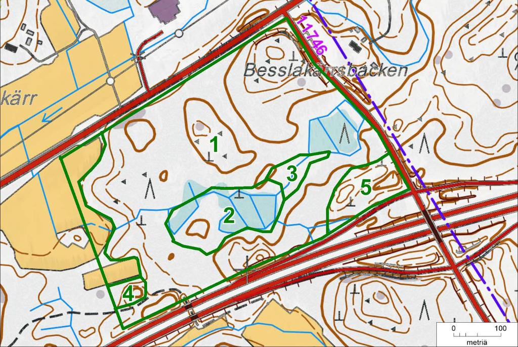 Selvitysalueen kasvillisuuskuviot 1-5.
