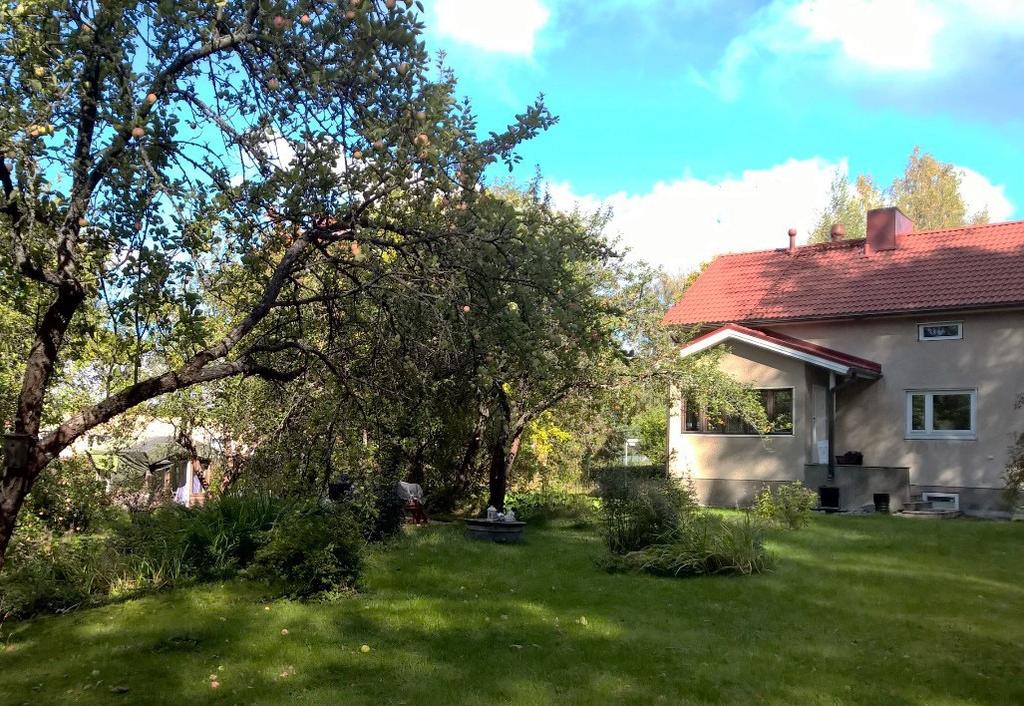 Pintamaan alla on kartan mukaan kalliota, joka nousee kaakkoispuolella naapuritontilla metsäiseksi rakentamattomaksi mäeksi.