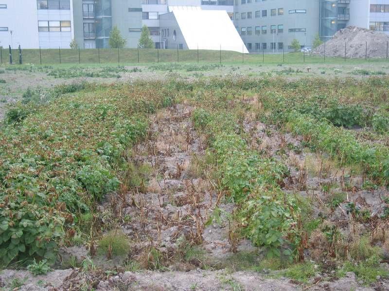 22.9.04