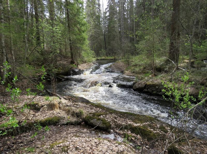 KeskiPohjanmaan ArkeologiaPalvelu Keuruu Asunnan reitti 207 8 Myllylänkosken 900luvun alun myllyn ja voimalaitoksen rakenteet sekä 940luvun uittorakenteet ovat miltei kokonaan purettu tai hävinneet.