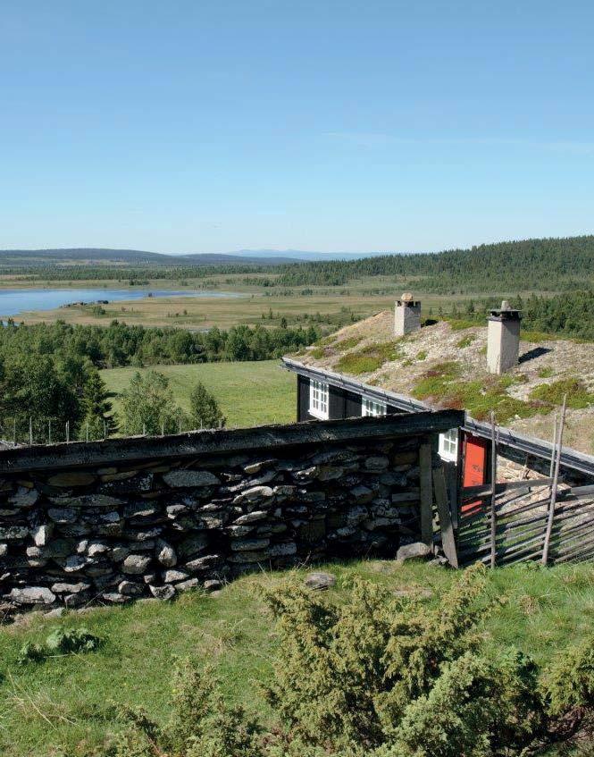 NCT LILLEHAMMER 8-14 juli