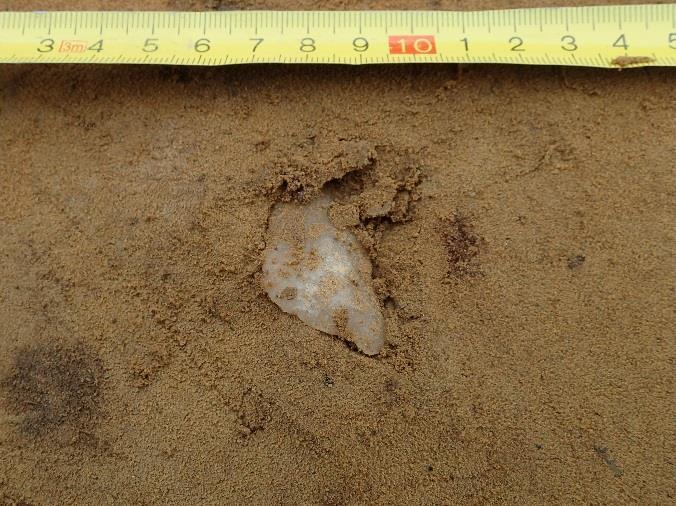 Yläosan sekoittuneesta alueesta lähtien havaittiin punertavaa hiekkaa lähes yhtenäisesti noin 35 m matkalla.