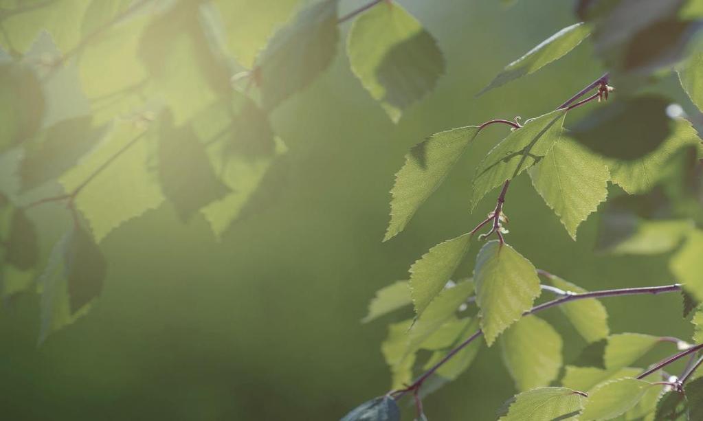 06/04/2017 Jukka Metsälä 8 MUUT HYÖDYT Biohajoavan jätteen ja sivuvirtojen mädätys mahdollistaa myös ravinteiden palauttamisen lannoitteeksi ravintoketjuun.