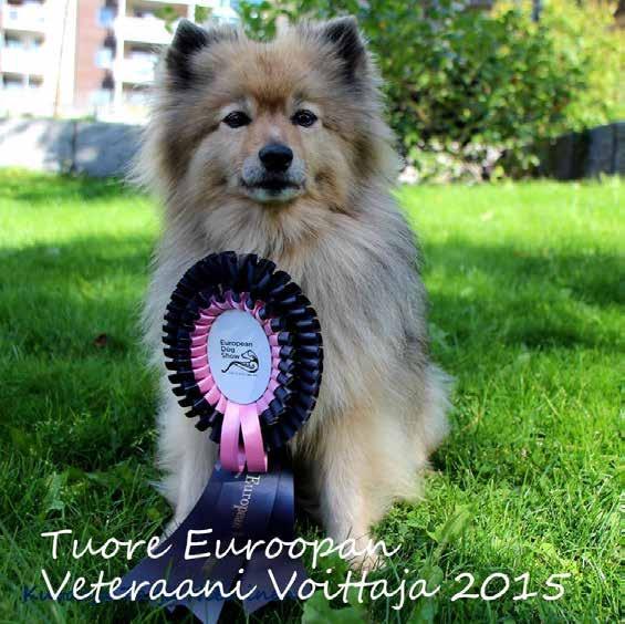 euroopan veteraanivoittaja 2015 EuroopanVoittaja 2015 näyttely 6.9.2015 Oslo, Norja C.I.